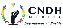 Comisión Nacional de los Derechos Humanos